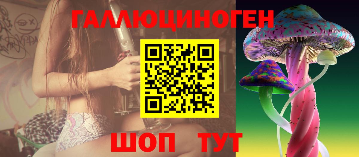 Псилоцибиновые грибы MAGIC MUSHROOMS  Вход с VPN  Псилоцибиновые грибы прущие грибы  Можга 